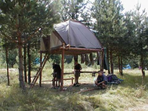 Жилище на платформе