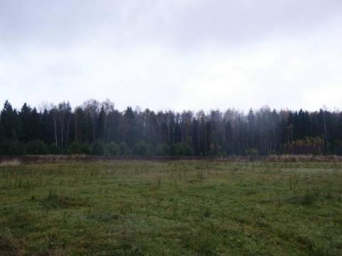 Поляна Юбилейного лагеря-слета