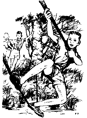 P. Joubert 08
