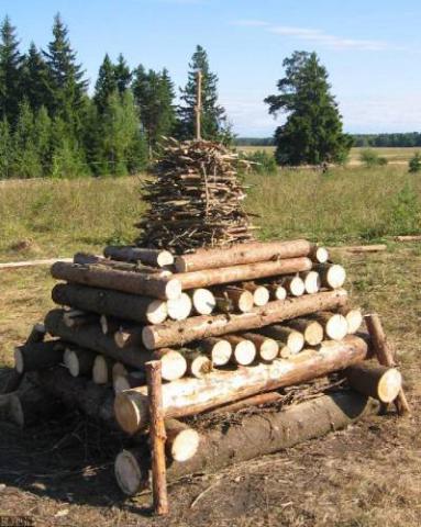 Костёр ДПВ