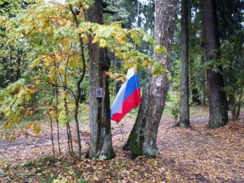 Слет к открытию готов!