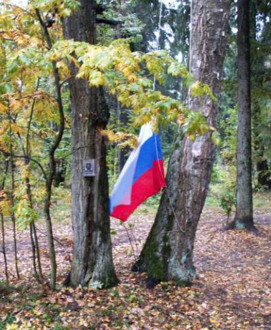 Слет к открытию готов!