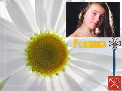 Ромашка