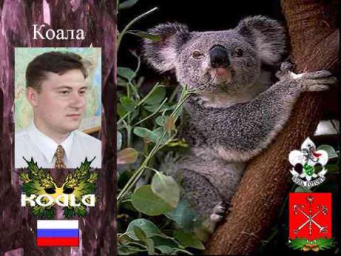 Коала.Питер.ОРЮР