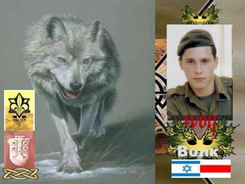 Волк Аскалона(Ашкелон Израиль)