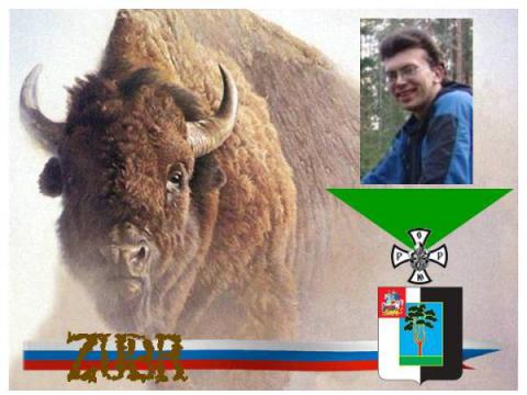 Зубр(ОРЮР.Черноголовка.Россия)