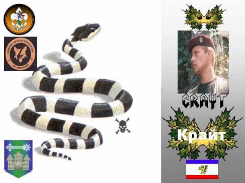 Крайт(ОРЮР.Крым)