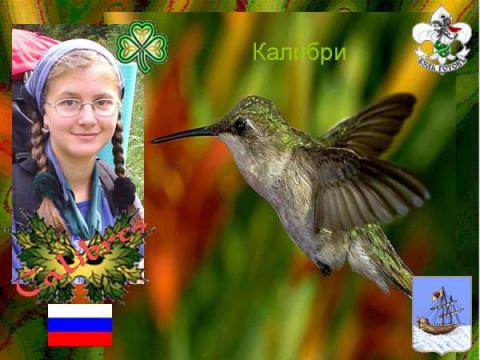 Калибри(ОРЮР.Россия)