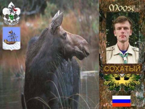 Сохатый(ОРЮР.Россия)
