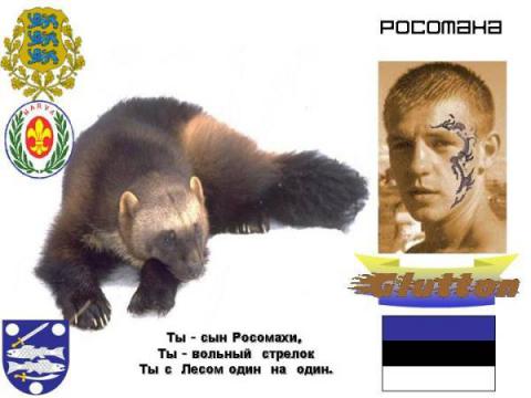 Росомаха