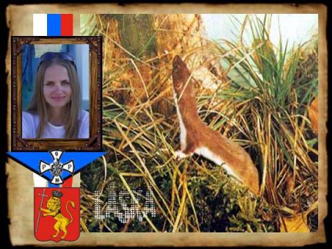 Ласка