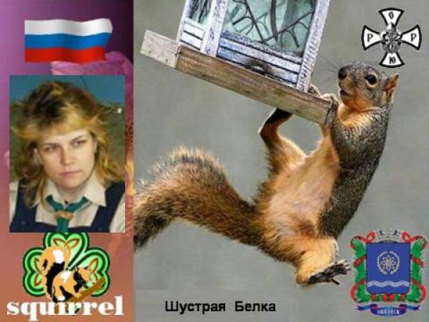 Шустрая Белка