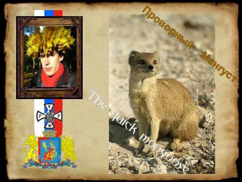 Мангуст