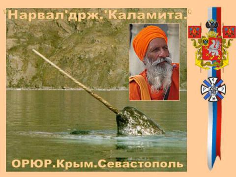 Нарвал. ОРЮР. Крым