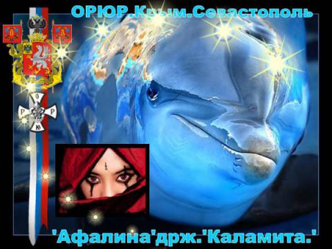 Афалина. ОРЮР . Крым . Севастополь