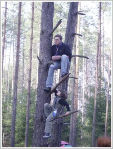 От волчонка до витязя