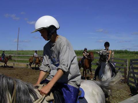 Конная тренировка