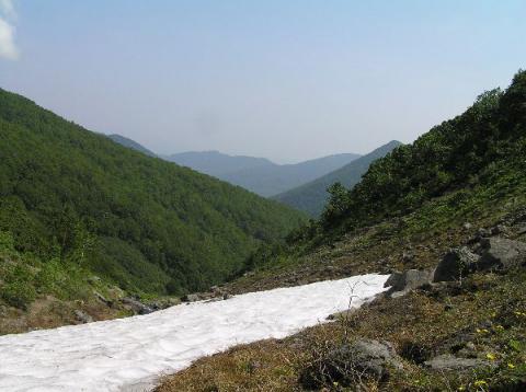 Пейзаж