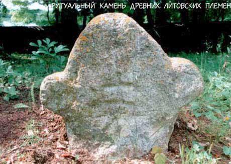 1996 Ekologi 03