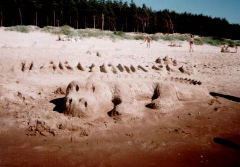 1997 Praktika 10