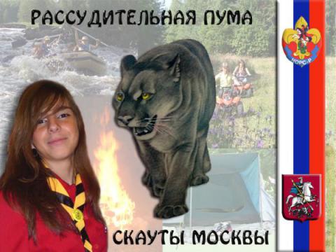 Рассудительная Пума