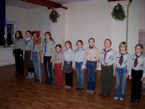 Белочки в сторю