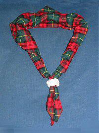 necker-THwoggle