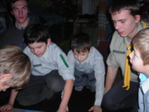 Волчата
