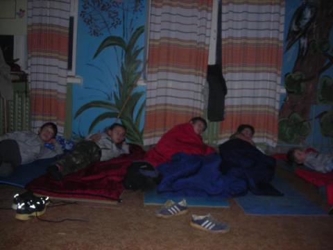 Волчата