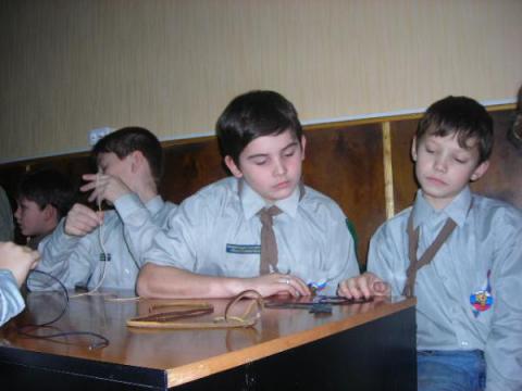 Волчата