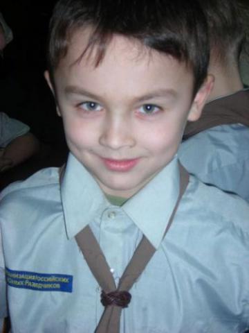 Волчата