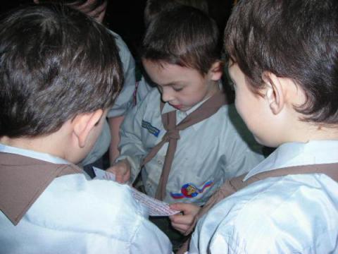 Волчата
