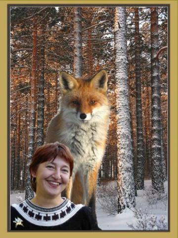 Лиса