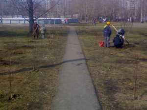 Аллея скаутов