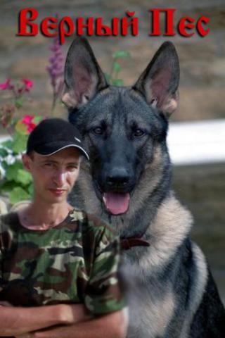 Верный Пёс (Юрий Санкин)