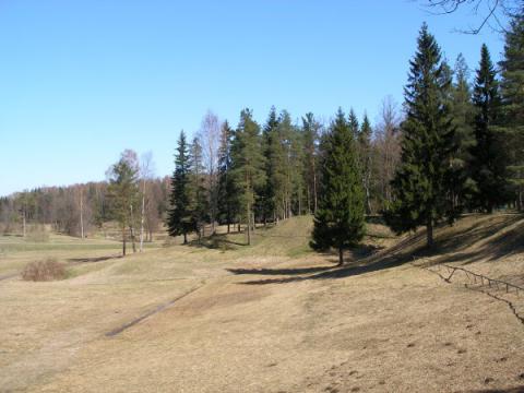 Павловский парк 10