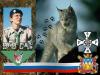 Рысь(ОРЮР.Петропавловск-Камчатск.)