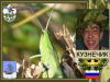 Кузнечик(ОРЮР.Россия)