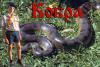 Кобра (Павлик Колодкин)