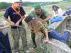 Достаём девушку из колодца