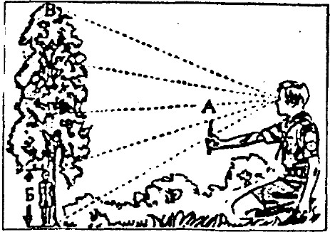 tmp58-121.jpg