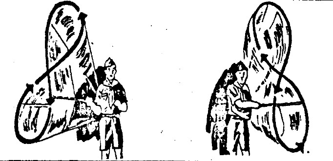 tmp58-160.jpg
