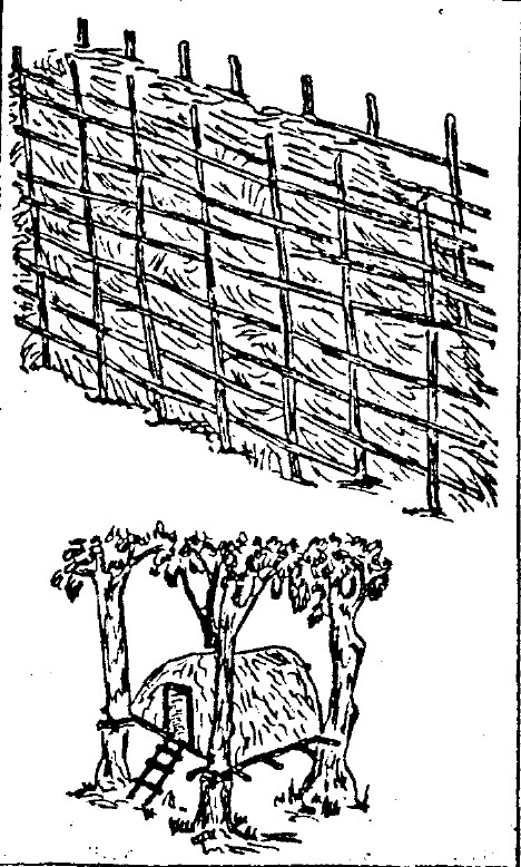 tmp58-171.jpg