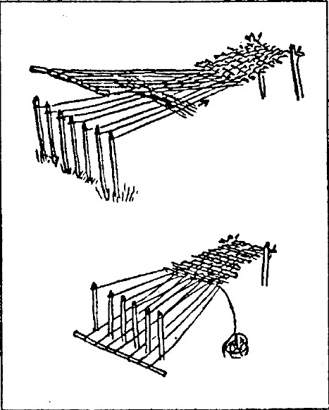 tmp58-173.jpg