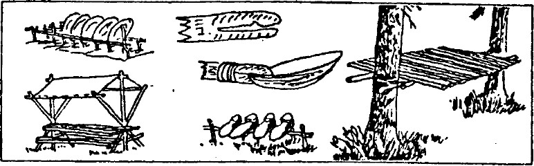 tmp58-182.jpg