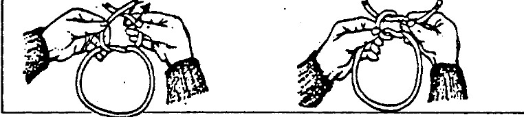 tmp58-189.jpg