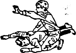tmp58-209.jpg
