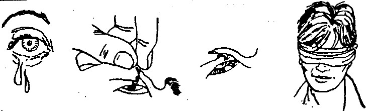 tmp58-229.jpg