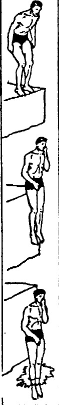 tmp58-245.jpg